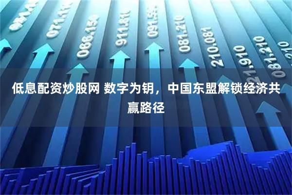 低息配资炒股网 数字为钥，中国东盟解锁经济共赢路径